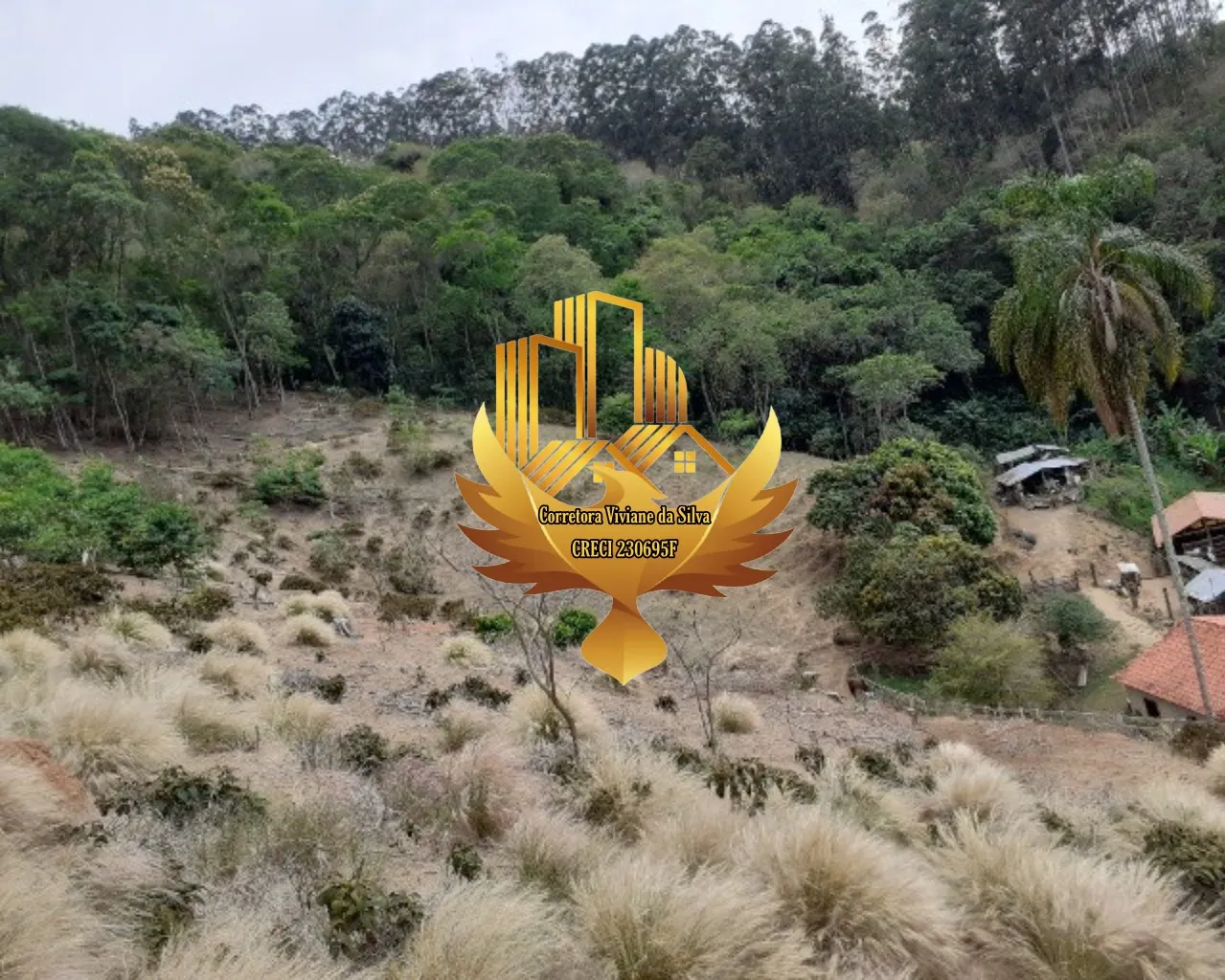 Sítio à venda de 7 ha em Jambeiro, SP, Brasil