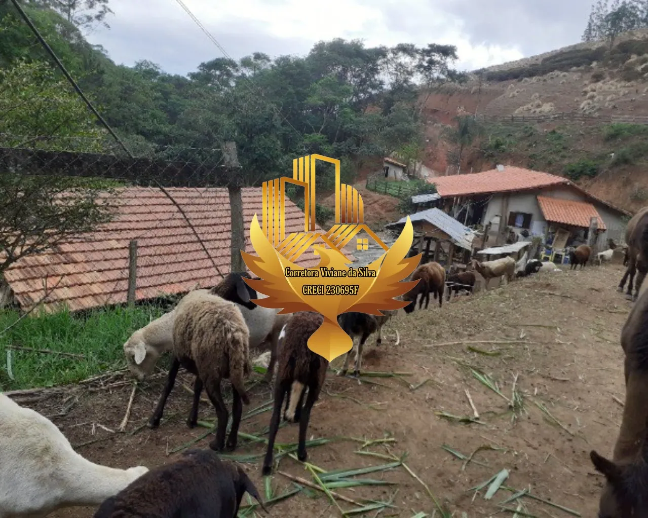 Sítio à venda de 7 ha em Jambeiro, SP, Brasil