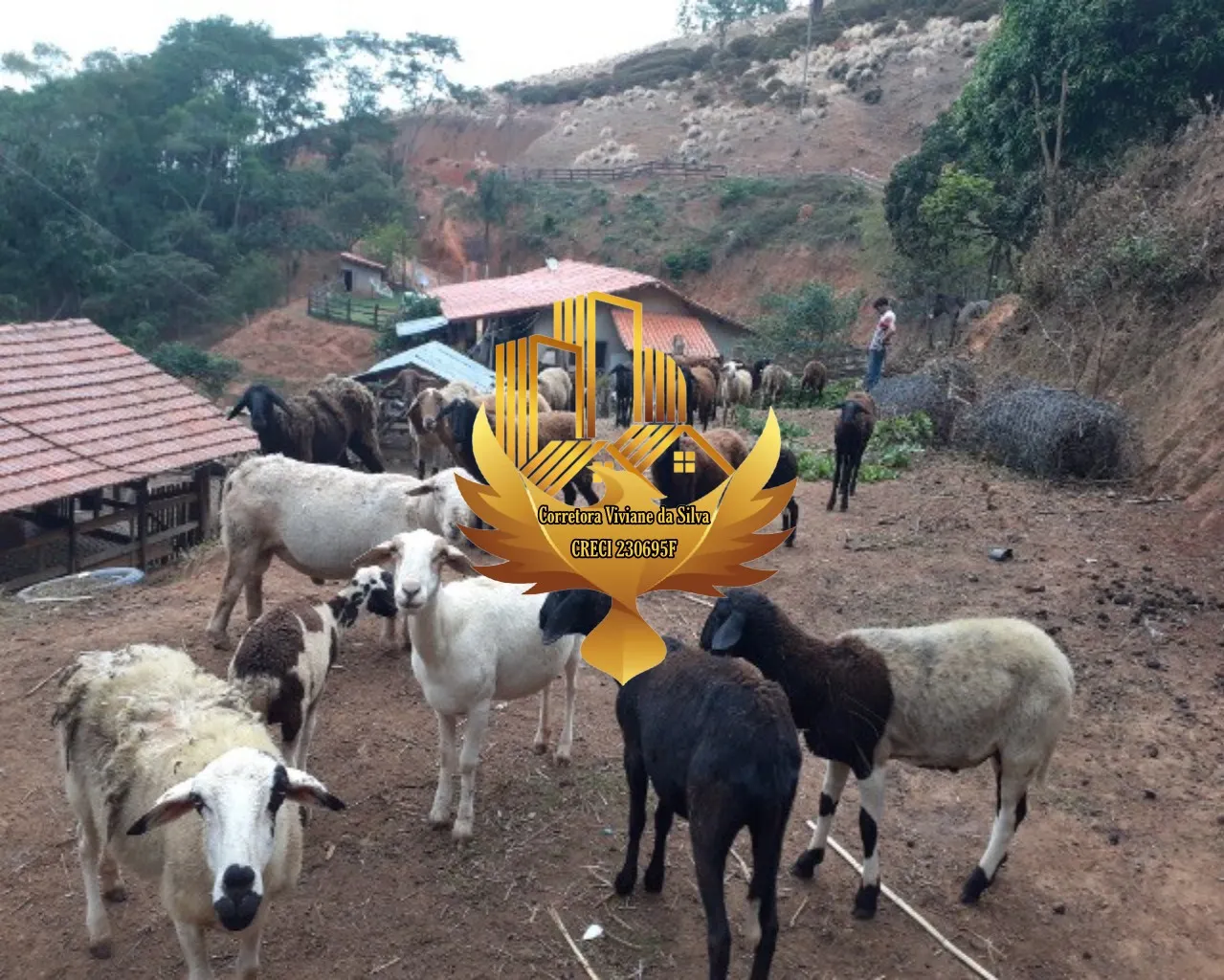 Sítio à venda de 7 ha em Jambeiro, SP, Brasil