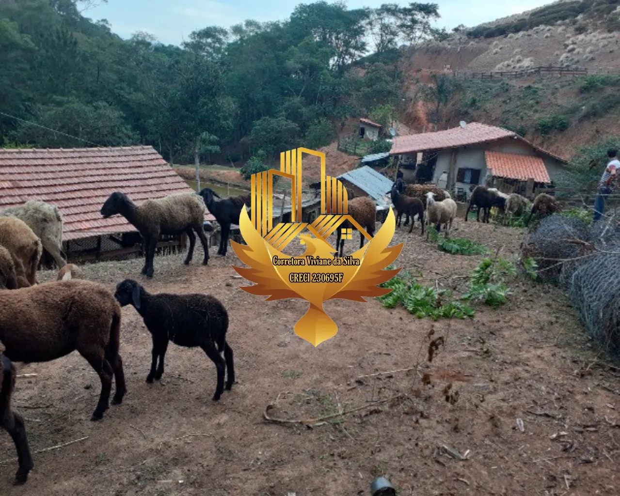 Sítio à venda de 7 ha em Jambeiro, SP, Brasil