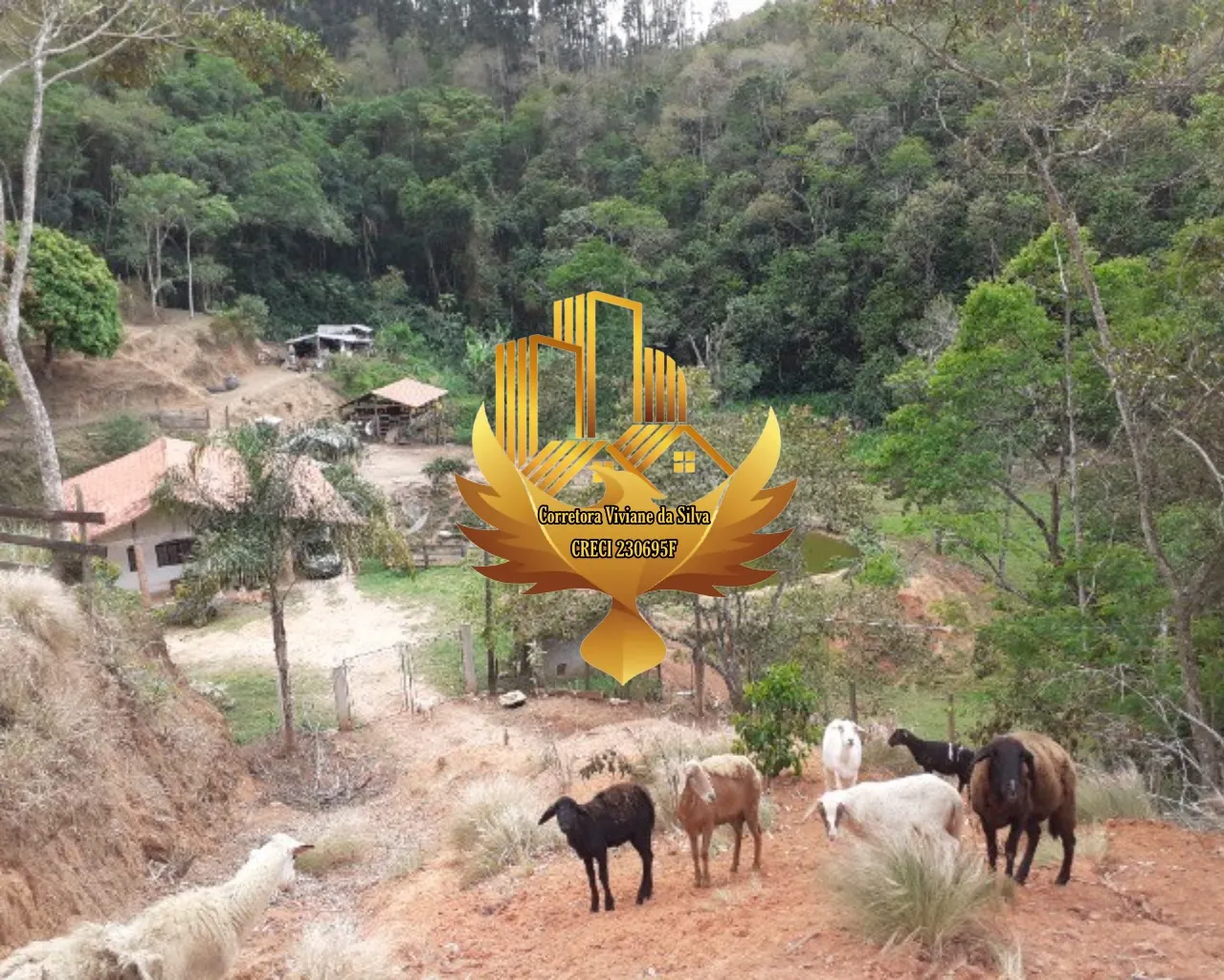 Sítio à venda de 7 ha em Jambeiro, SP, Brasil
