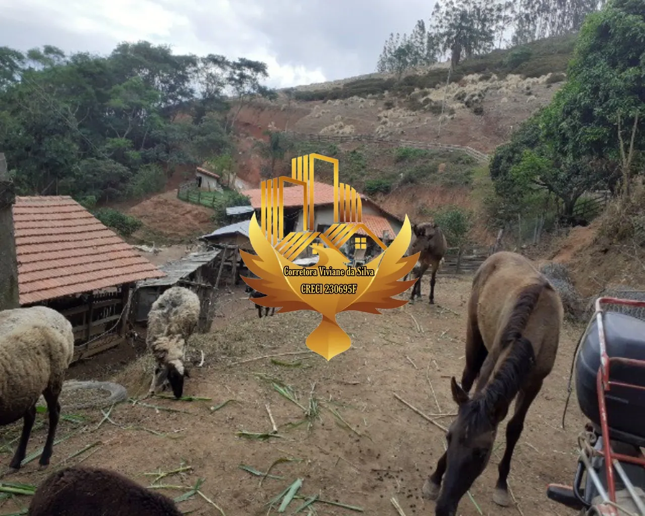 Sítio à venda de 7 ha em Jambeiro, SP, Brasil