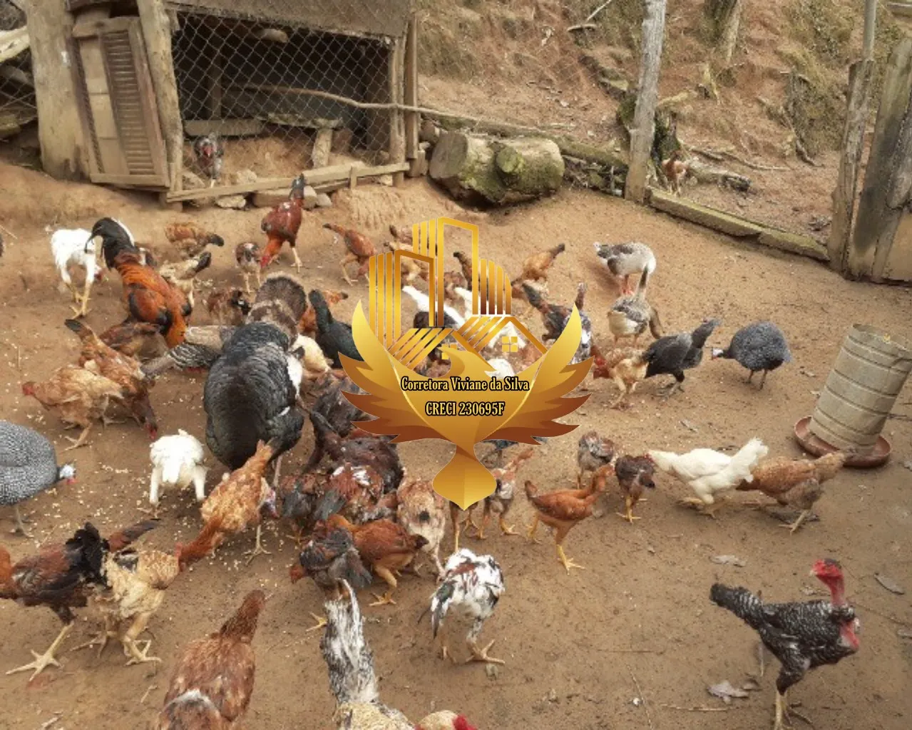 Sítio à venda de 7 ha em Jambeiro, SP, Brasil