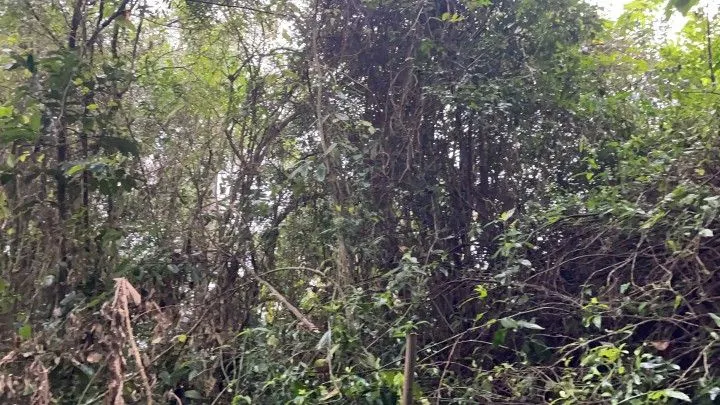 Country home for sale of 2,900 m² in Santo Antônio da Patrulha, RS, Brazil