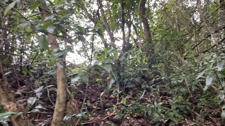Country home for sale of 2,900 m² in Santo Antônio da Patrulha, RS, Brazil