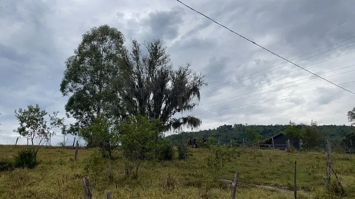 Country home for sale of 2,900 m² in Santo Antônio da Patrulha, RS, Brazil