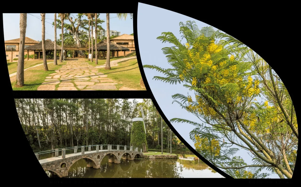 Plot for sale of 126 m² in Campinas, SP, Brazil