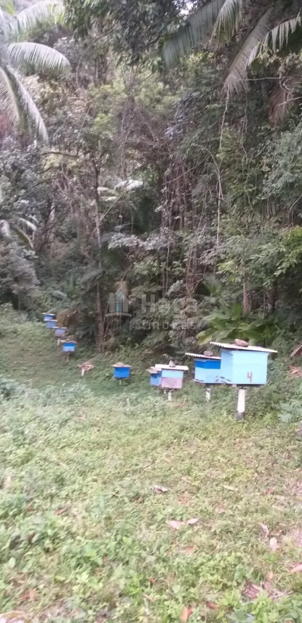 Fazenda à venda de 26 ha em Angelina, SC, Brasil