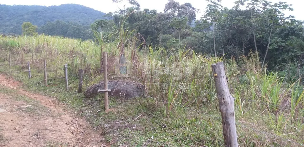 Fazenda à venda de 26 ha em Angelina, SC, Brasil