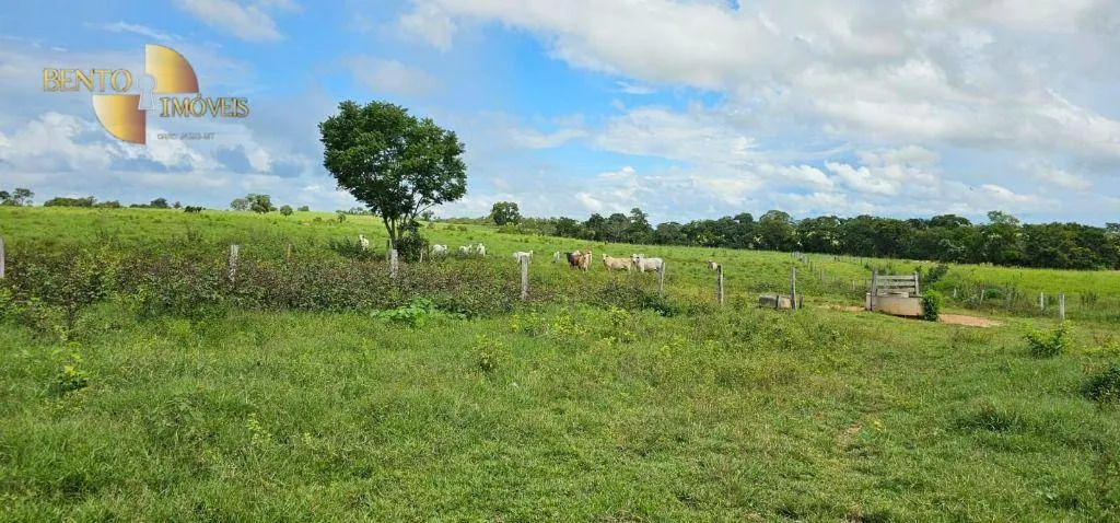 Fazenda à venda de 969 ha em Cuiabá, MT, Brasil