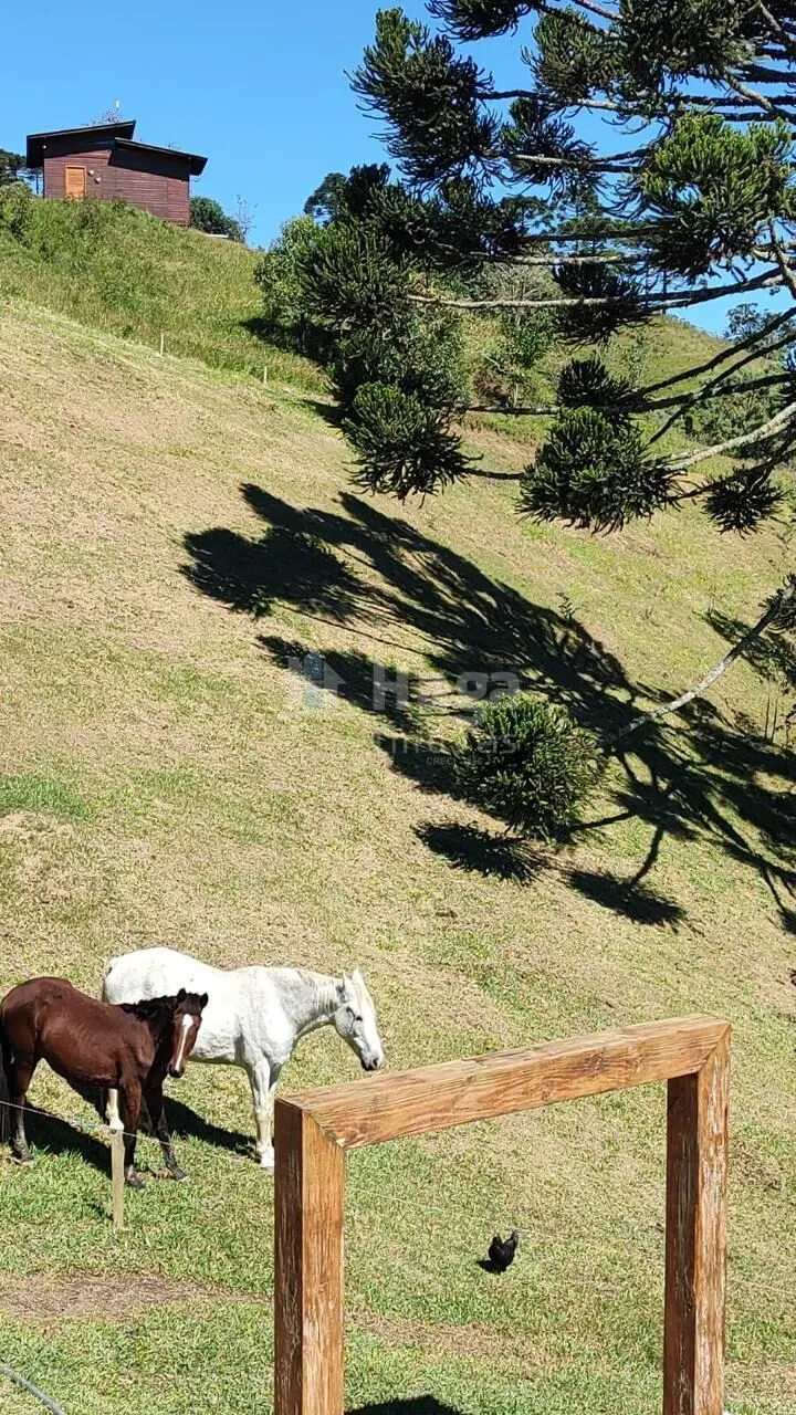 Chácara à venda de 2 ha em Alfredo Wagner, SC, Brasil