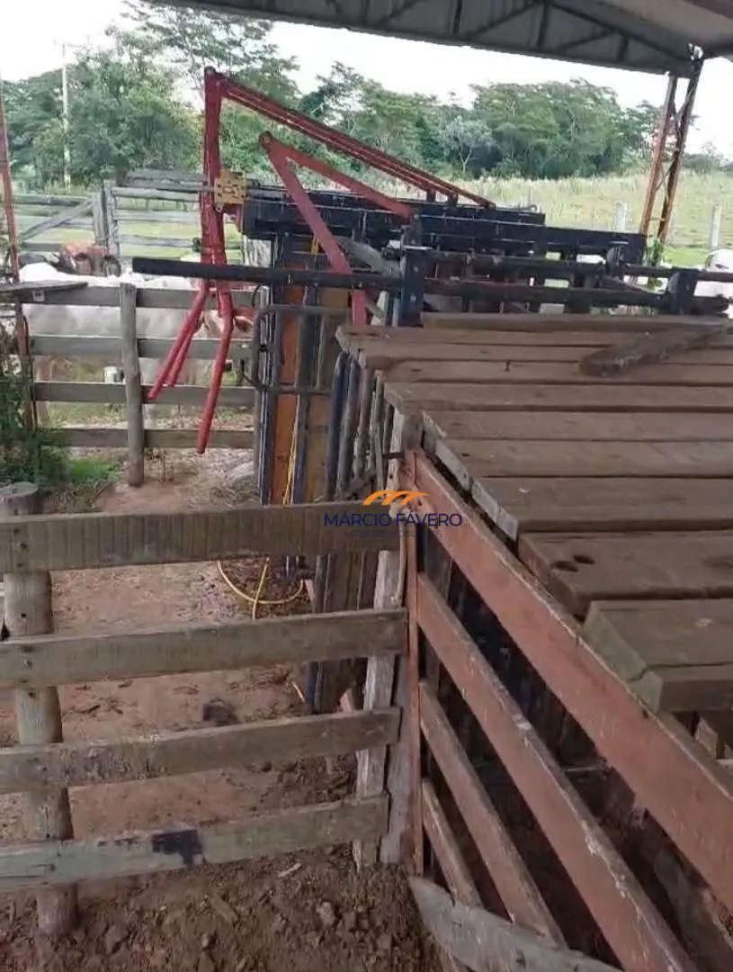 Fazenda à venda de 307 ha em Marília, SP, Brasil