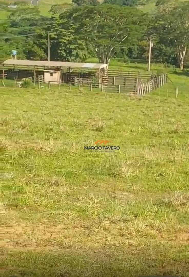 Fazenda à venda de 307 ha em Marília, SP, Brasil