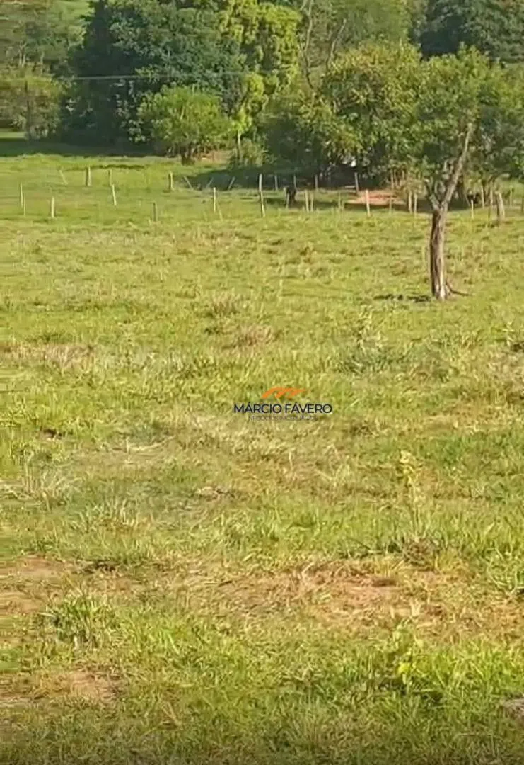 Fazenda à venda de 307 ha em Marília, SP, Brasil