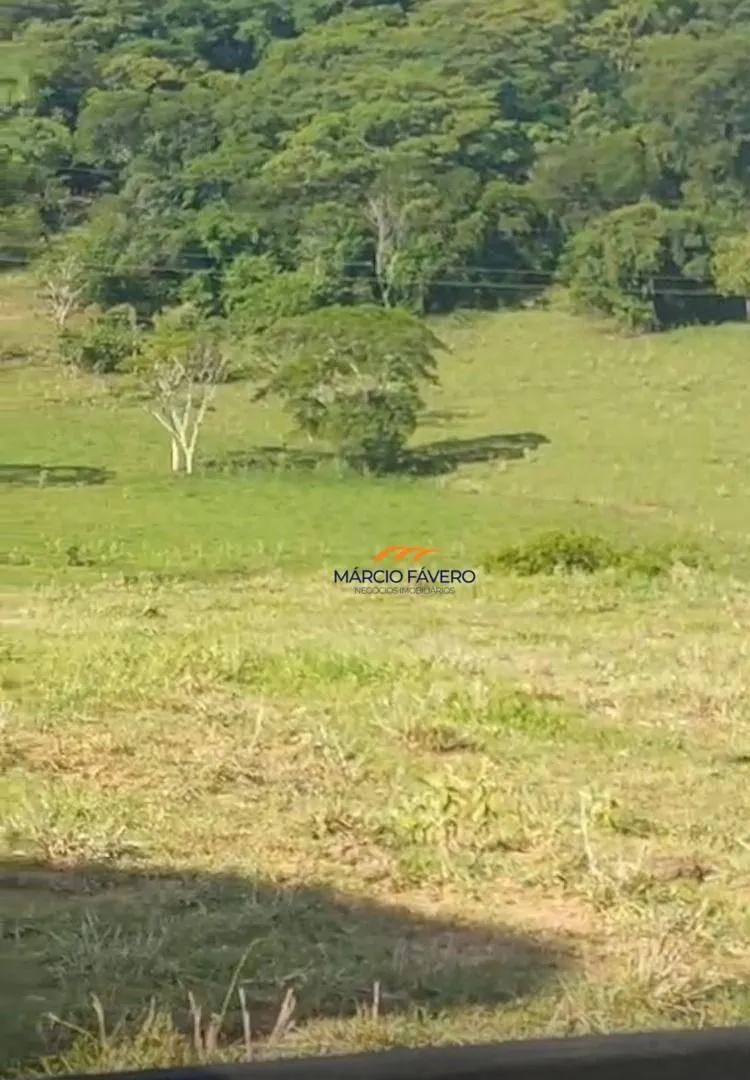 Fazenda à venda de 307 ha em Marília, SP, Brasil