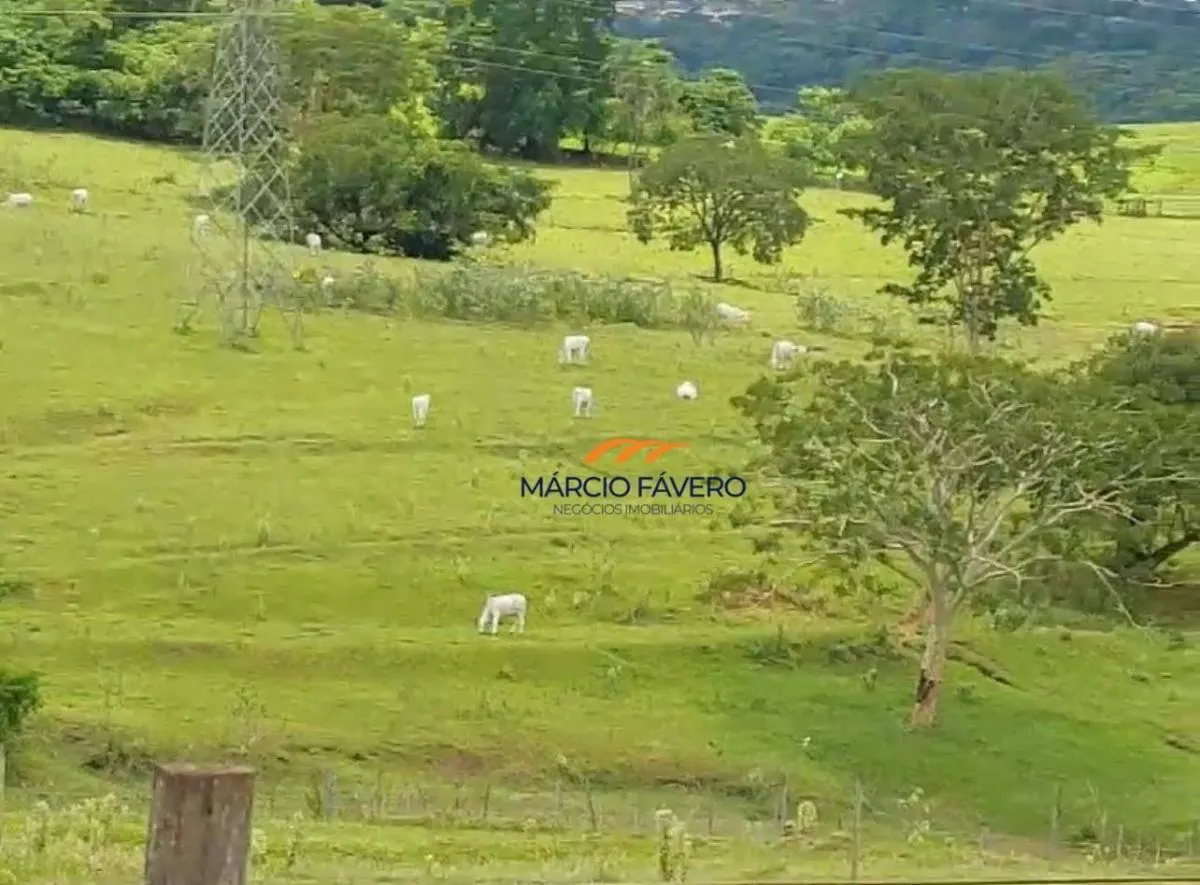 Fazenda à venda de 307 ha em Marília, SP, Brasil
