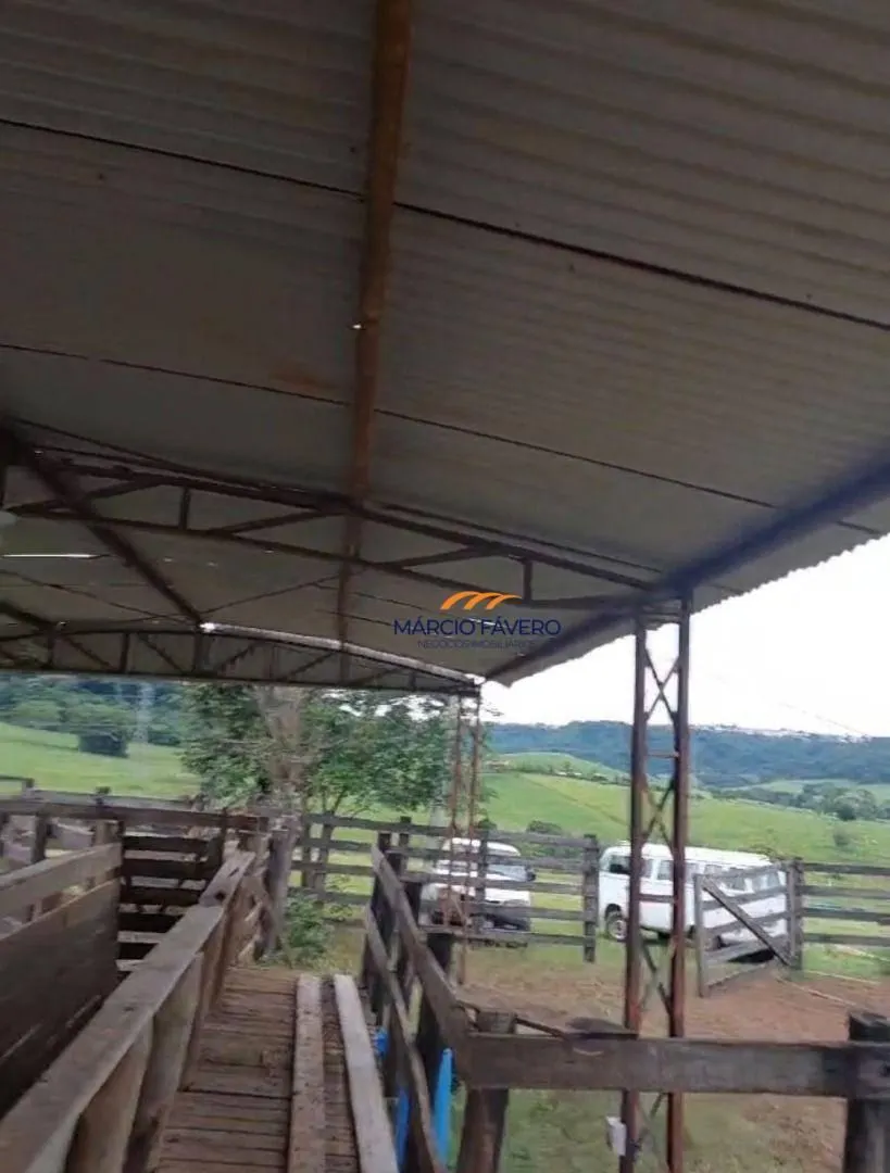 Fazenda à venda de 307 ha em Marília, SP, Brasil