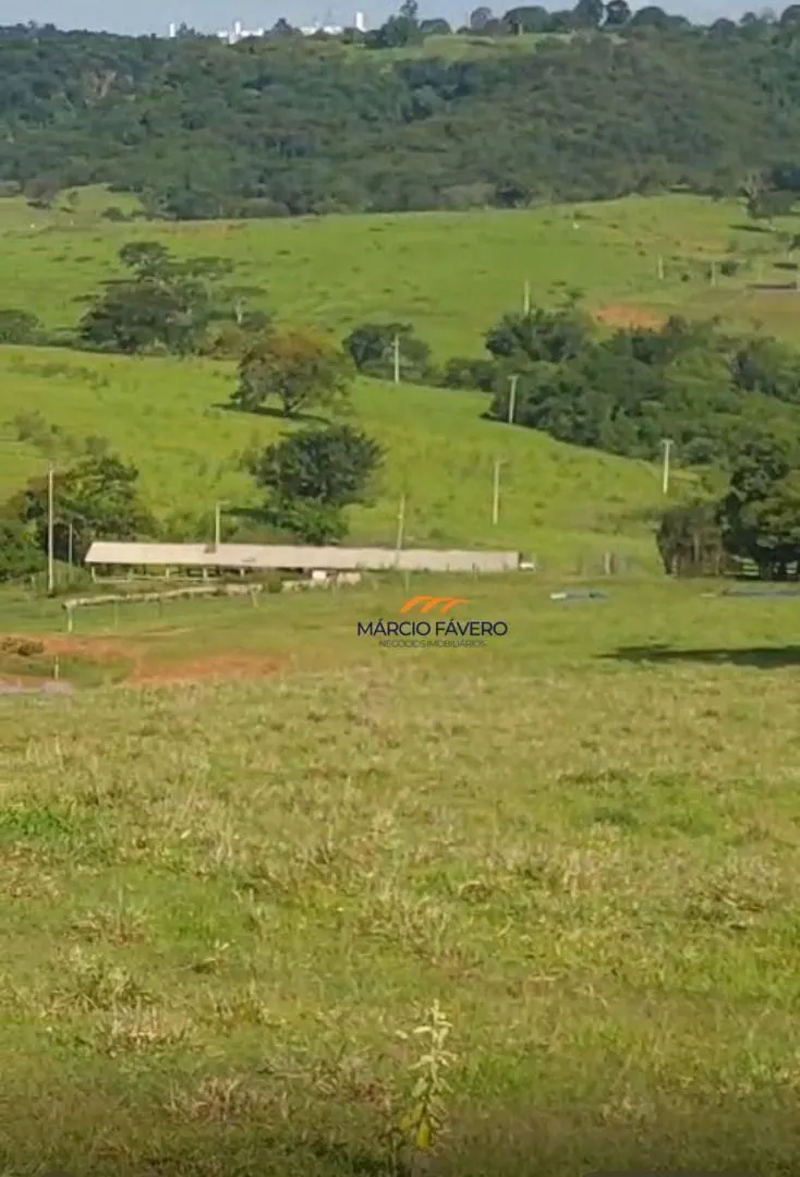 Fazenda à venda de 307 ha em Marília, SP, Brasil