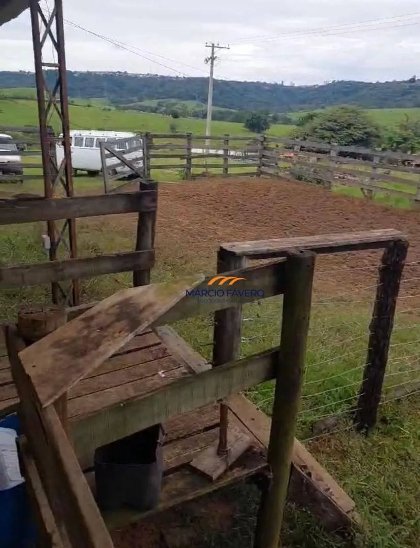 Fazenda à venda de 307 ha em Marília, SP, Brasil