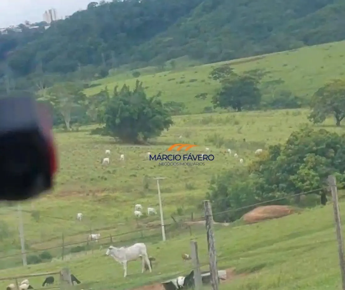 Fazenda à venda de 307 ha em Marília, SP, Brasil