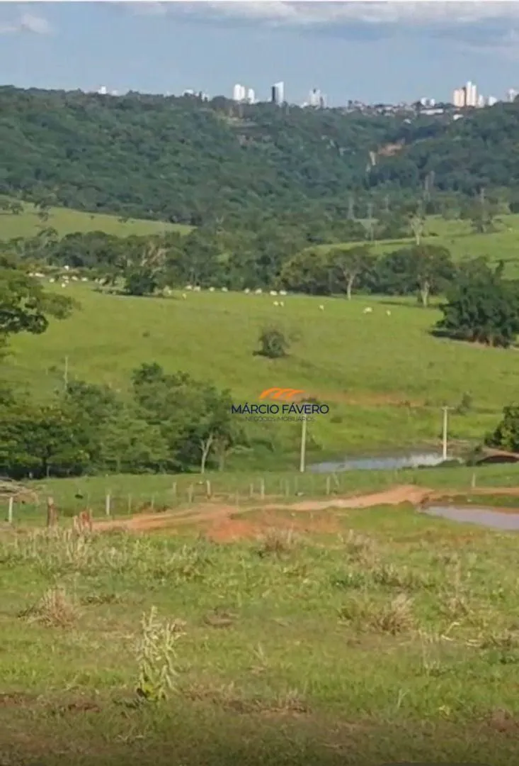 Fazenda à venda de 307 ha em Marília, SP, Brasil