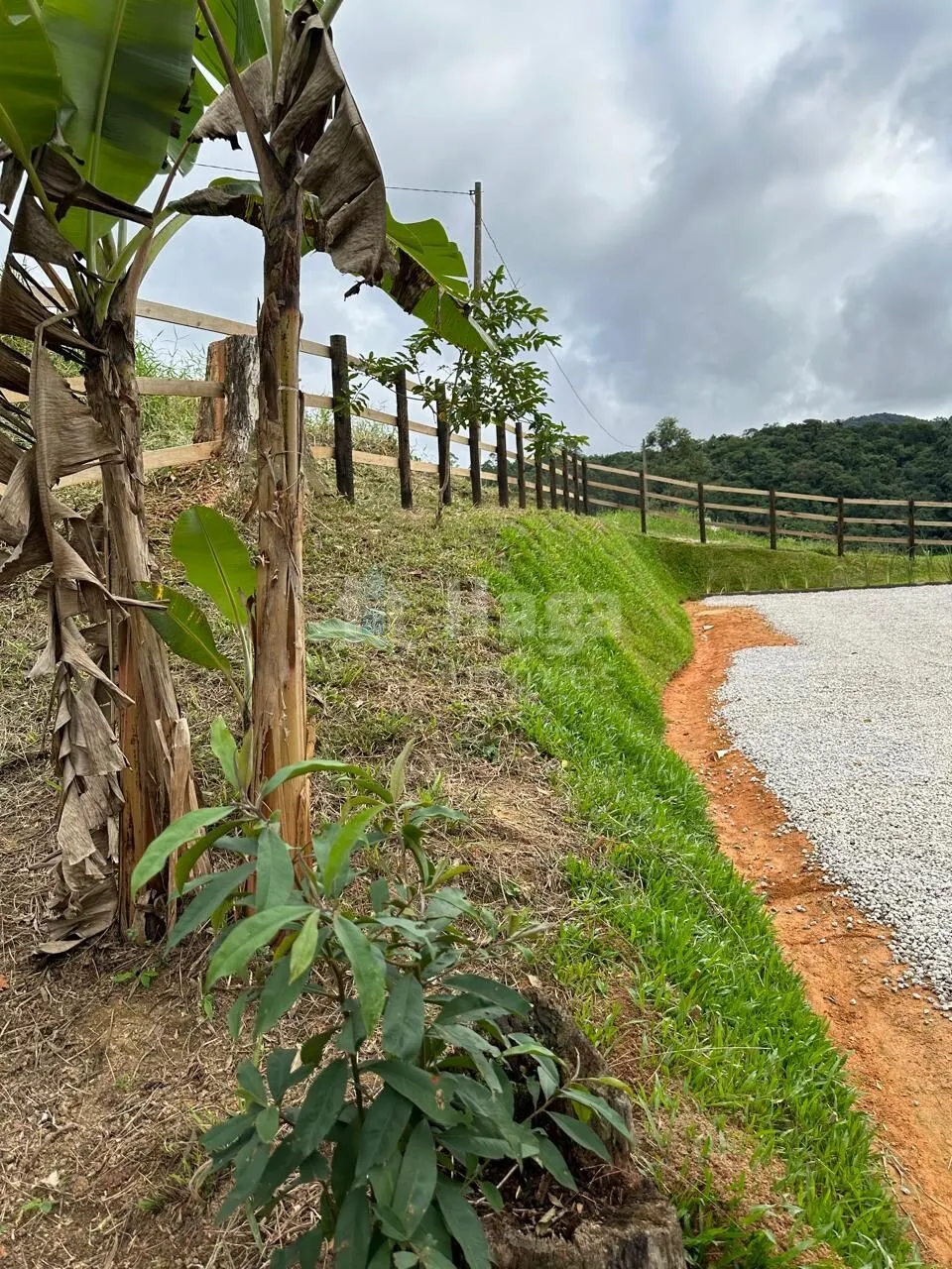 Fazenda à venda de 1.000 m² em Major Gercino, SC, Brasil