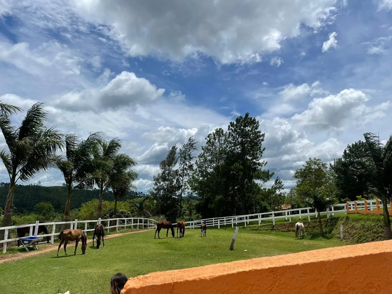 Chácara à venda de 2 ha em Igaratá, SP, Brasil