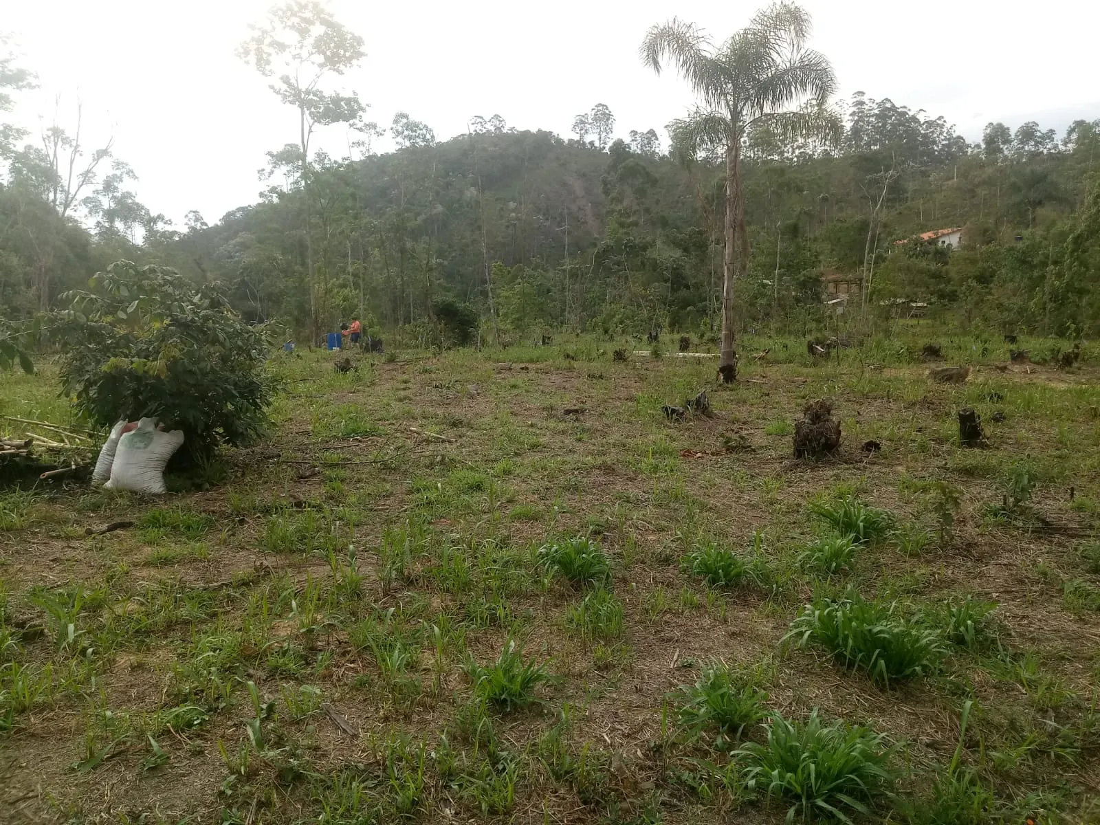 Small farm for sale of 5 acres in Monteiro Lobato, SP, Brazil