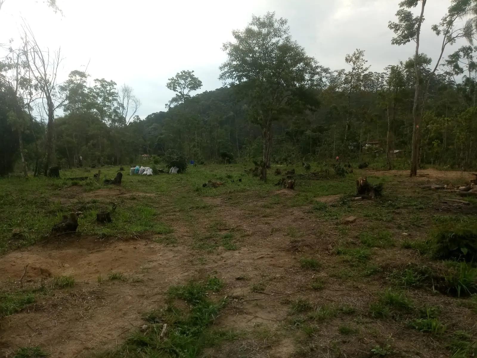 Small farm for sale of 5 acres in Monteiro Lobato, SP, Brazil