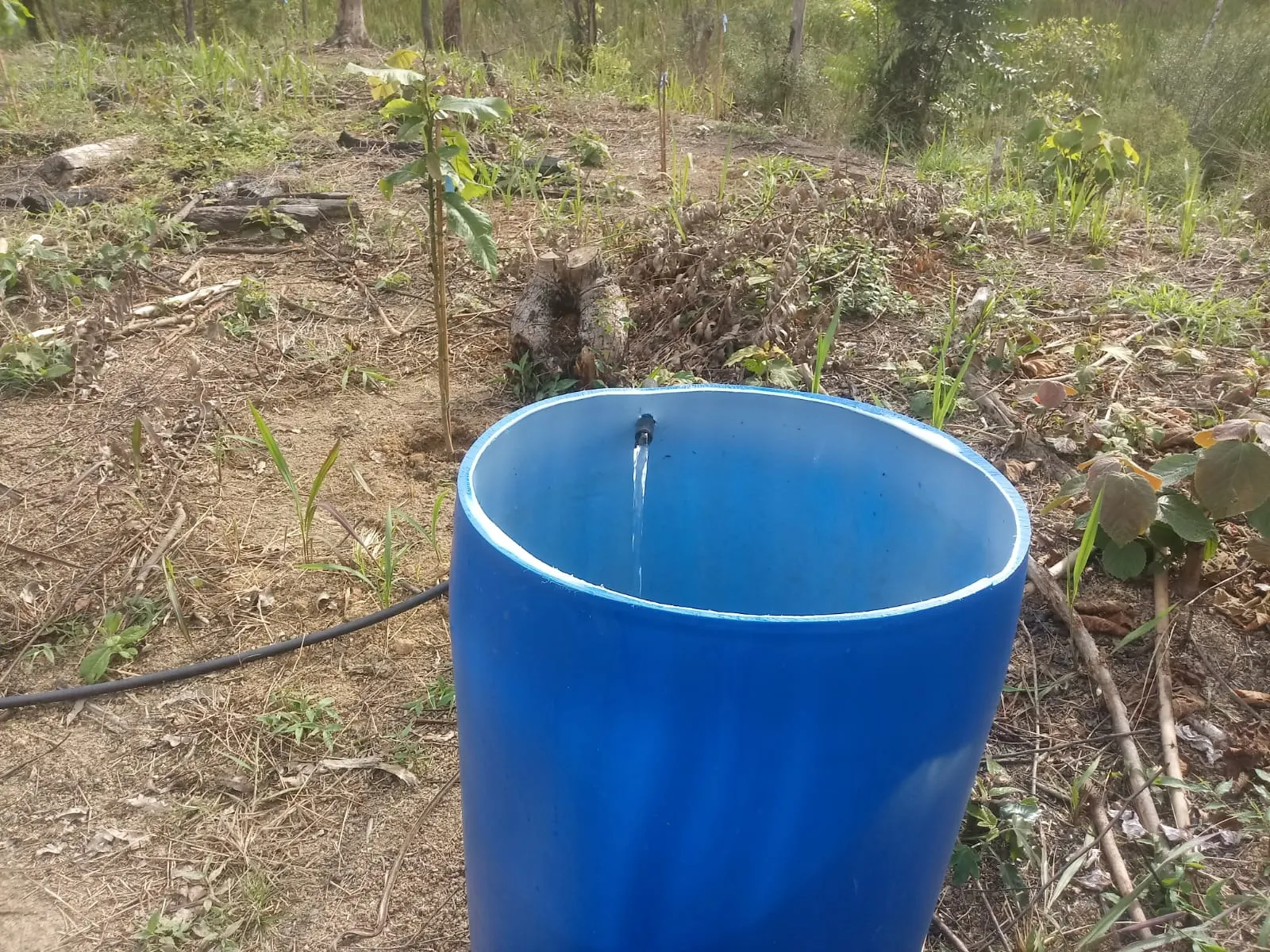Small farm for sale of 5 acres in Monteiro Lobato, SP, Brazil