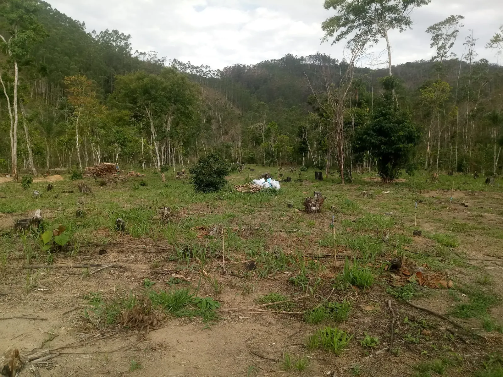Small farm for sale of 5 acres in Monteiro Lobato, SP, Brazil