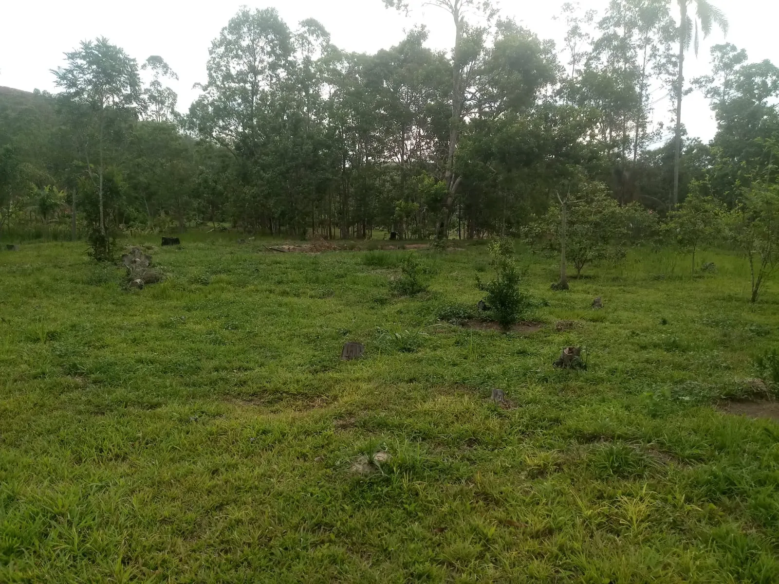 Small farm for sale of 5 acres in Monteiro Lobato, SP, Brazil