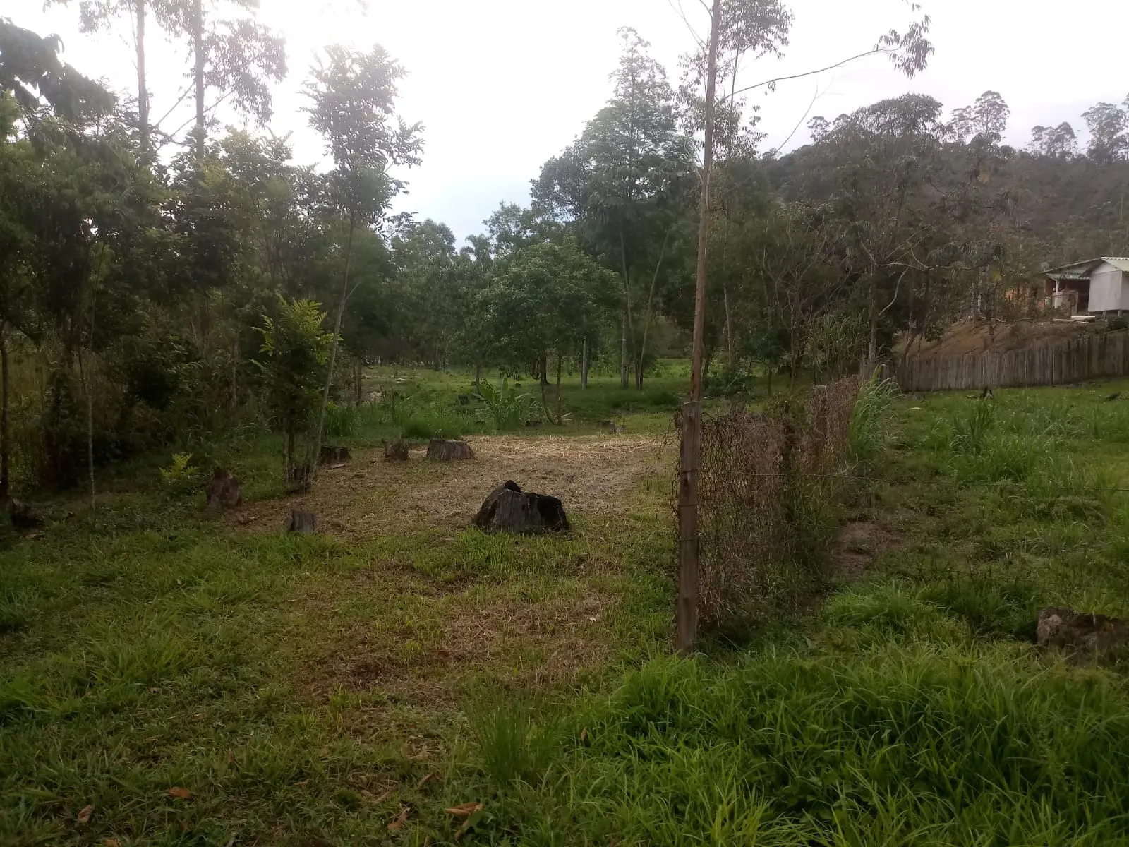 Small farm for sale of 5 acres in Monteiro Lobato, SP, Brazil