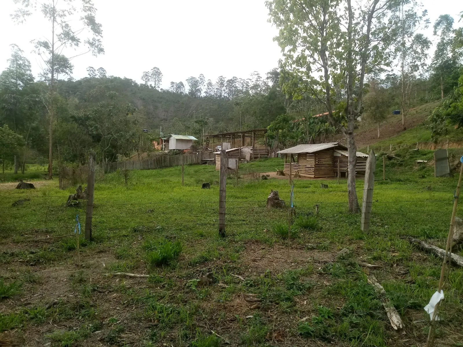 Small farm for sale of 5 acres in Monteiro Lobato, SP, Brazil