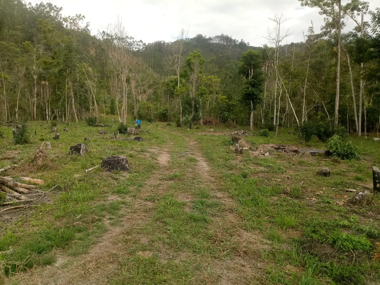 Small farm for sale of 5 acres in Monteiro Lobato, SP, Brazil
