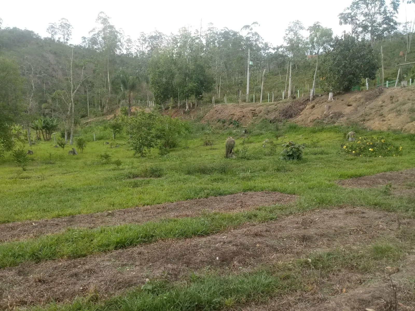 Small farm for sale of 5 acres in Monteiro Lobato, SP, Brazil