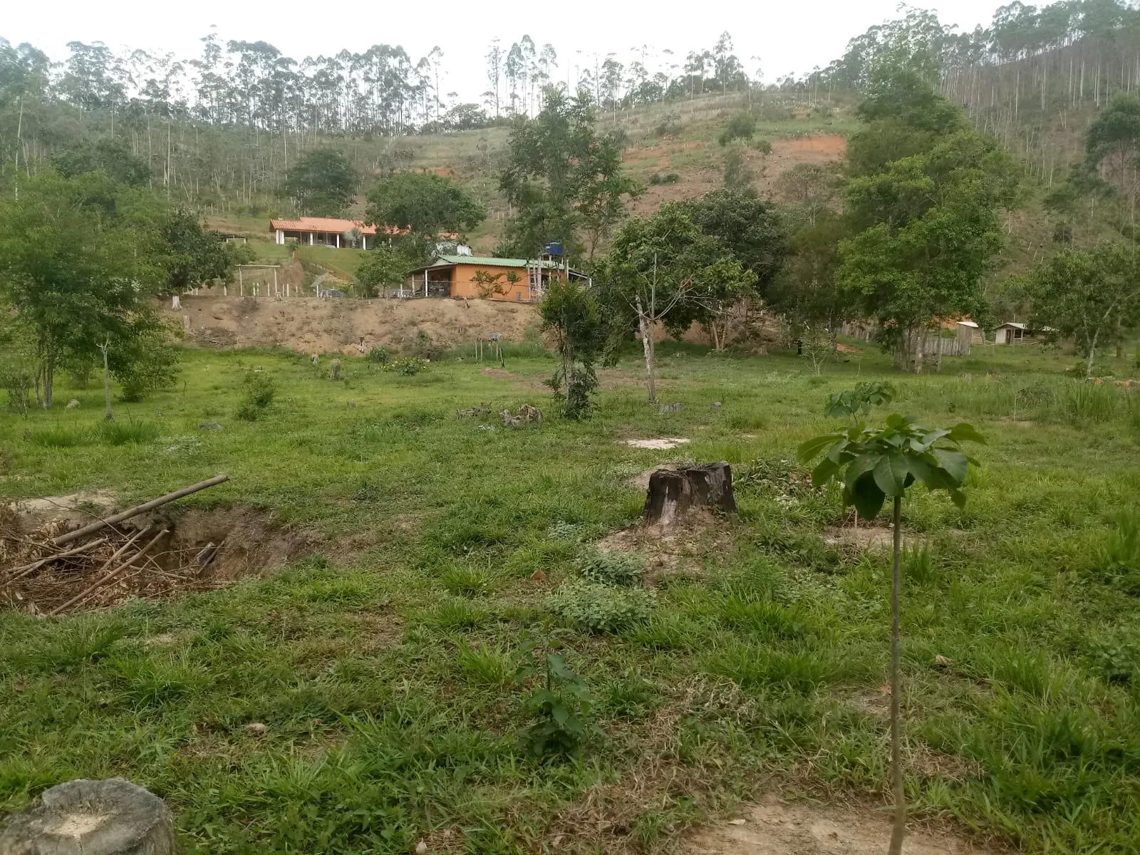 Small farm for sale of 5 acres in Monteiro Lobato, SP, Brazil