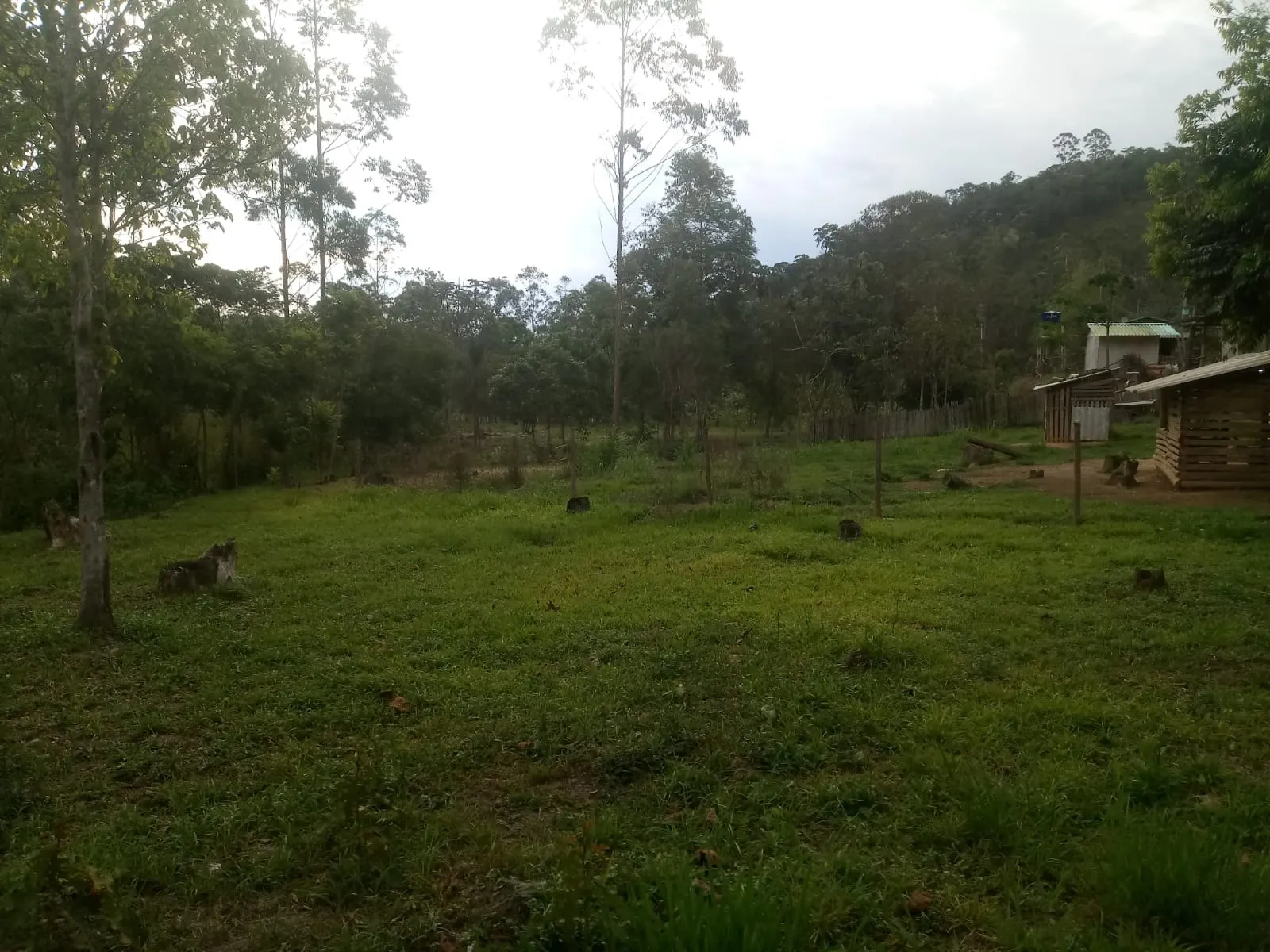 Small farm for sale of 5 acres in Monteiro Lobato, SP, Brazil