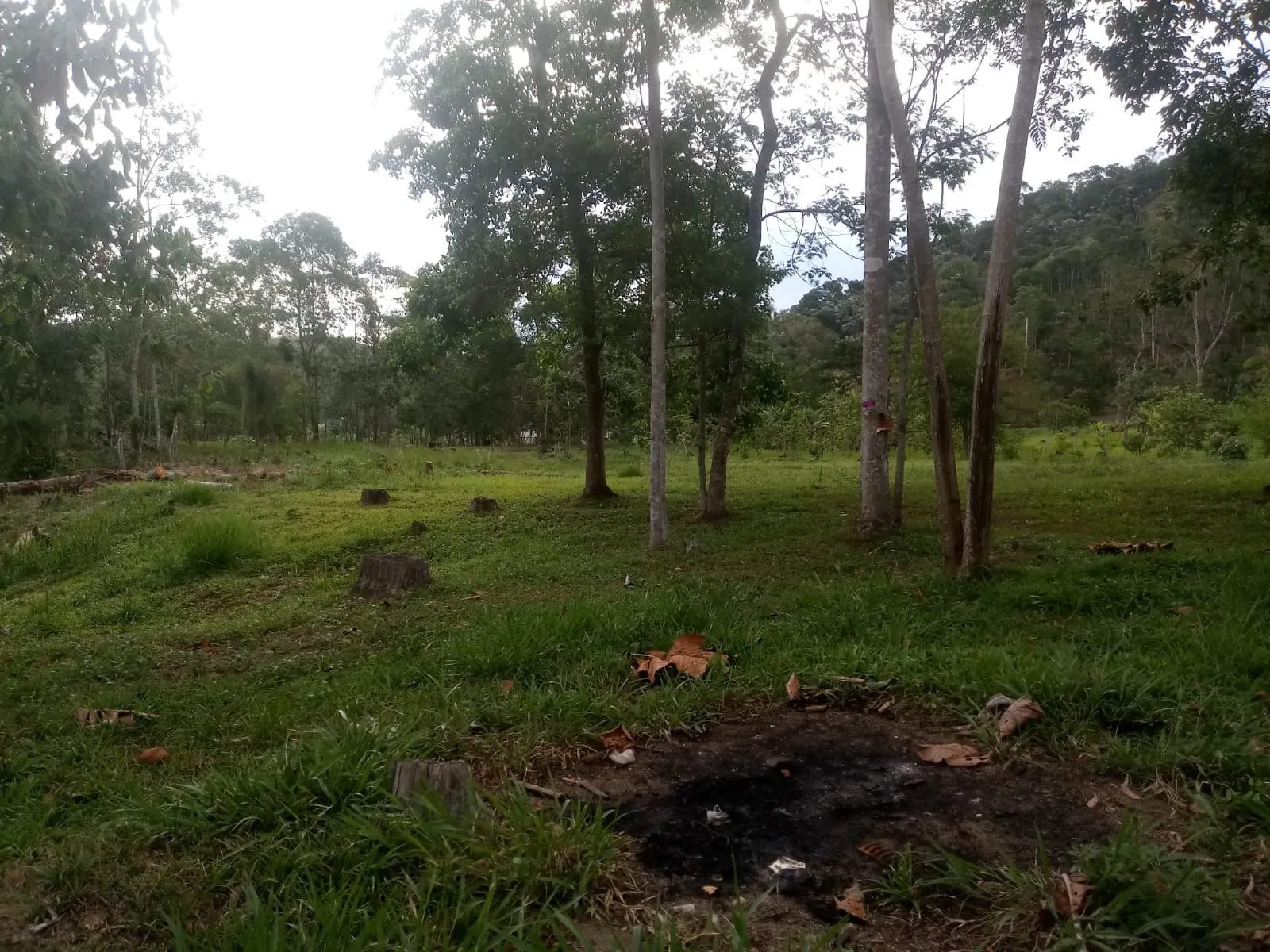 Small farm for sale of 5 acres in Monteiro Lobato, SP, Brazil