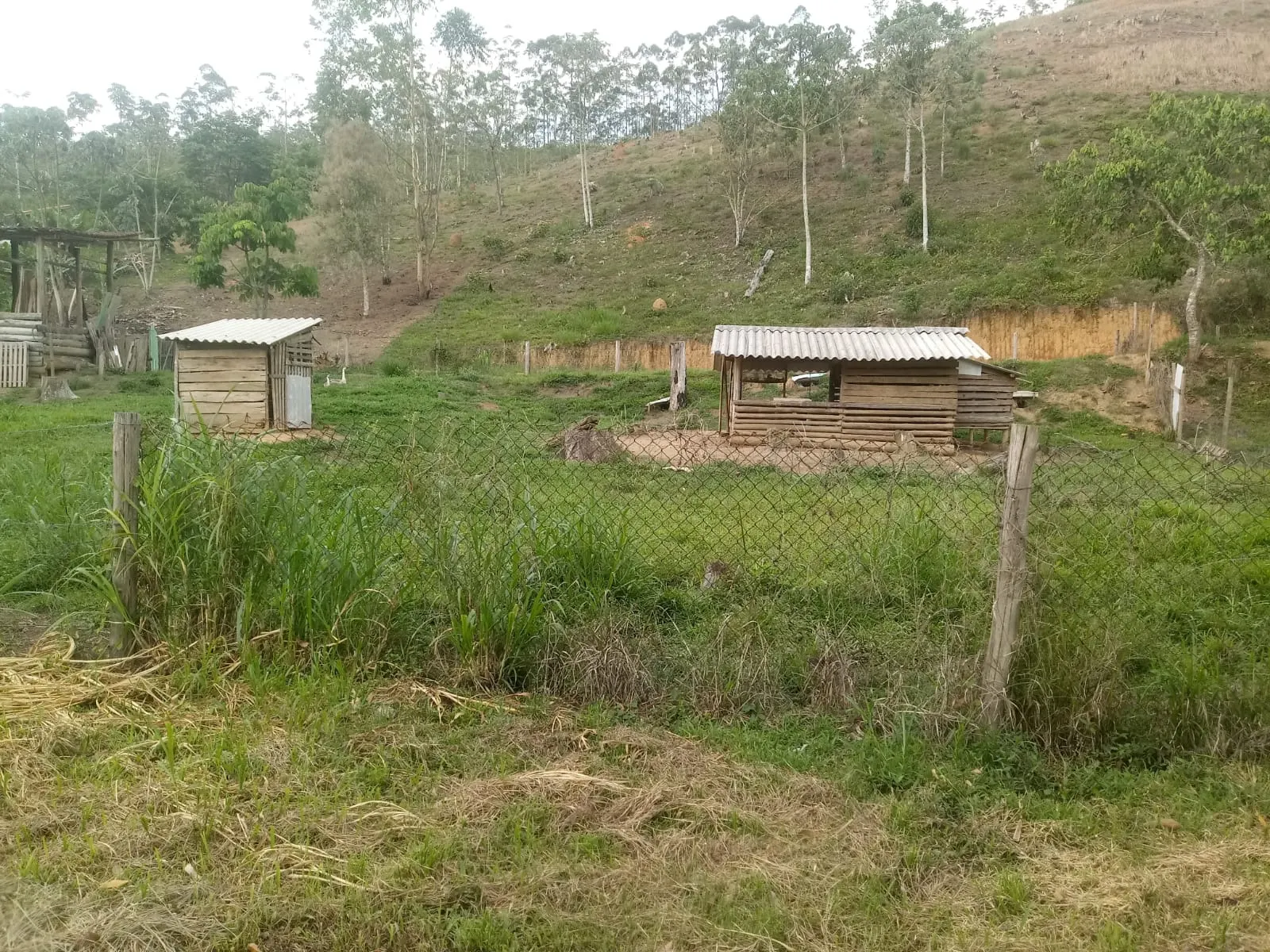 Small farm for sale of 5 acres in Monteiro Lobato, SP, Brazil