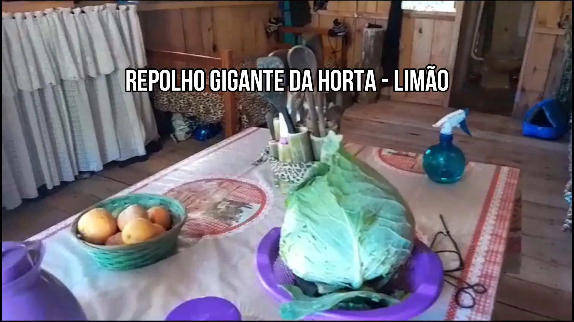 Country home for sale of 1,500 m² in Caraá, RS, Brazil