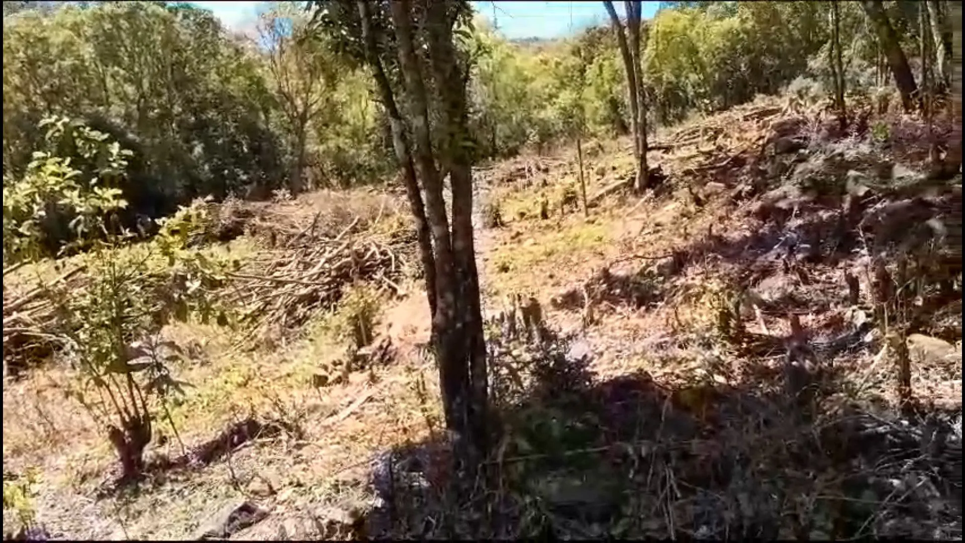 Country home for sale of 1,500 m² in Caraá, RS, Brazil