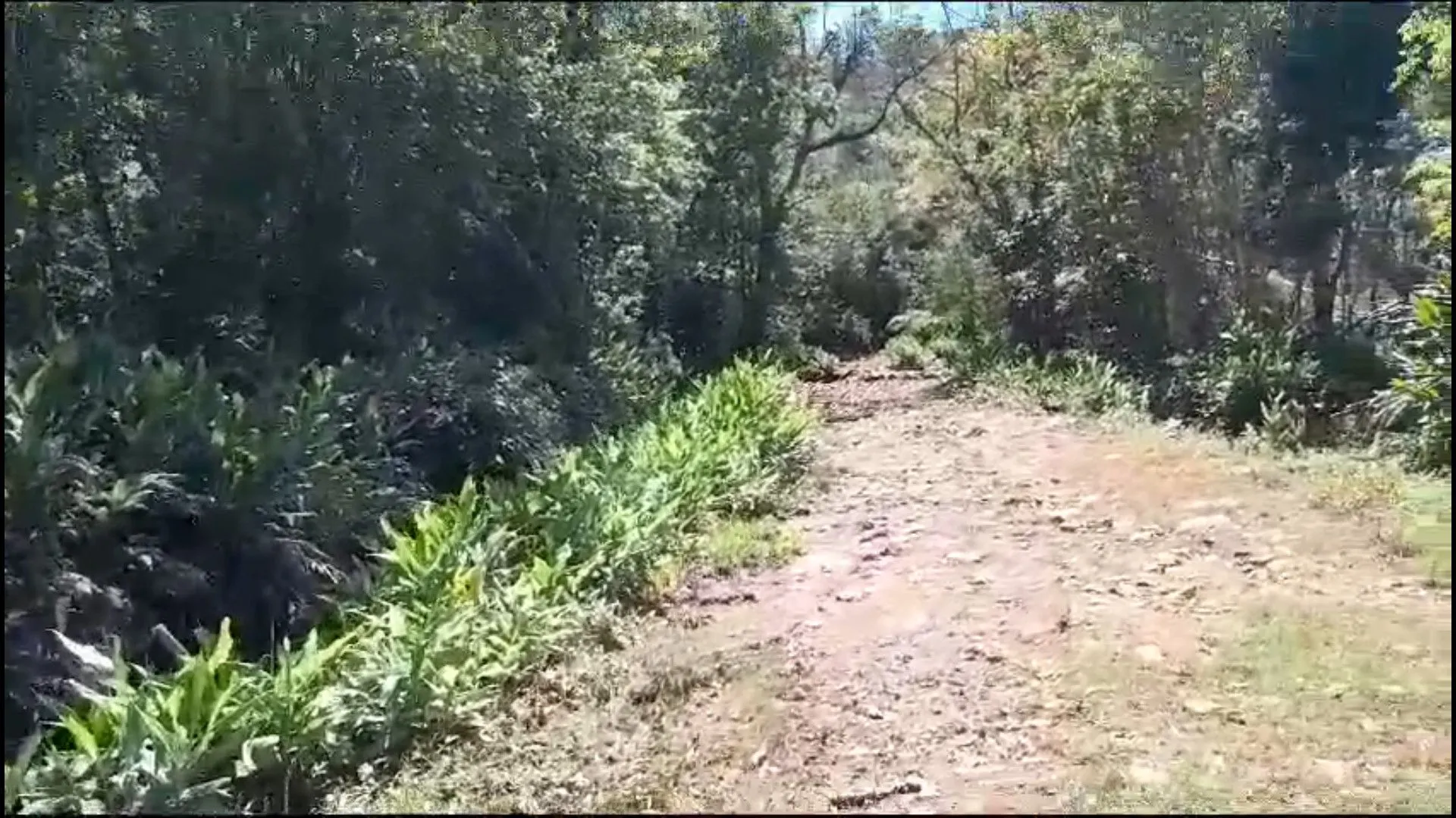 Country home for sale of 1,500 m² in Caraá, RS, Brazil