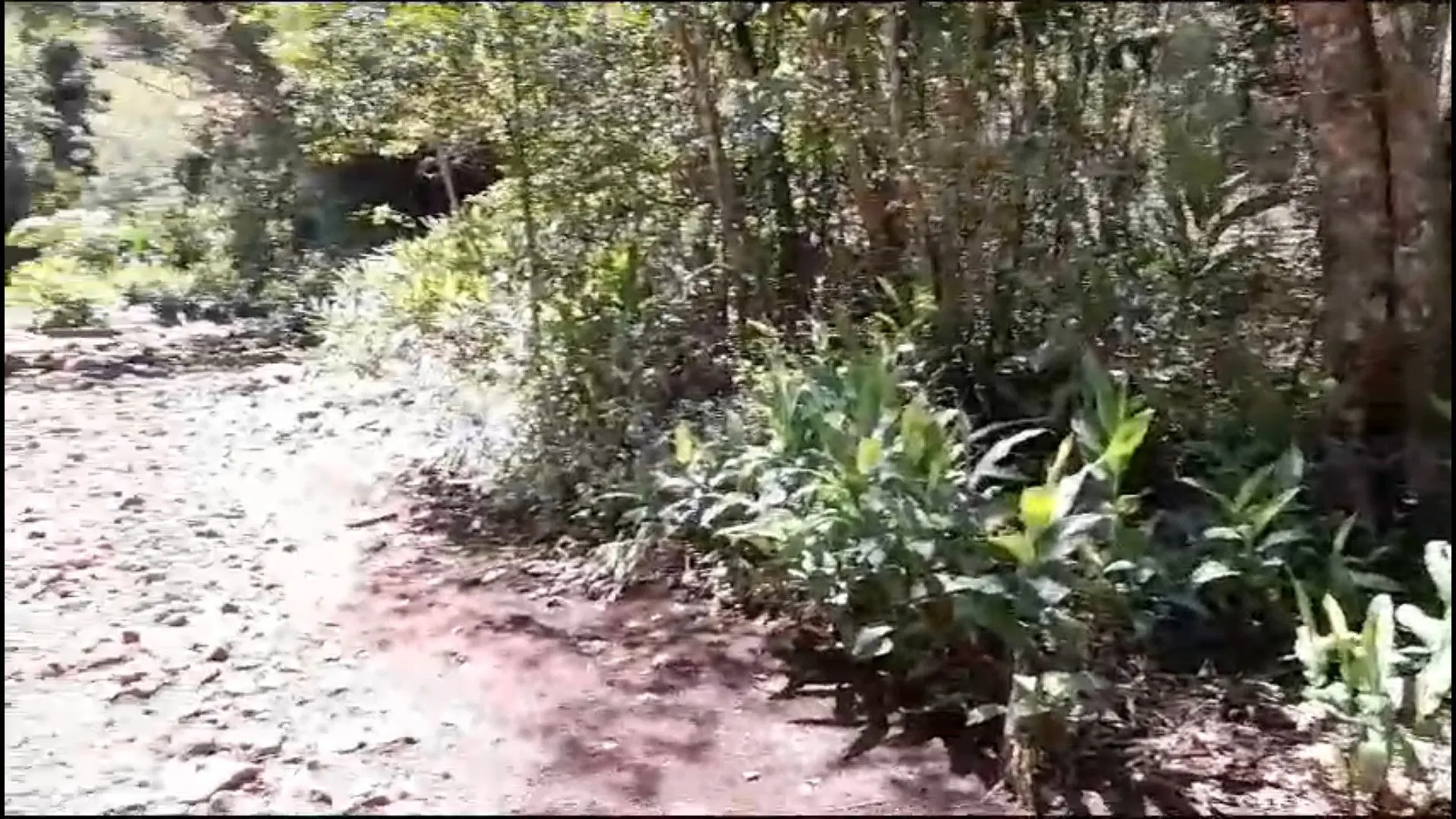 Country home for sale of 1,500 m² in Caraá, RS, Brazil