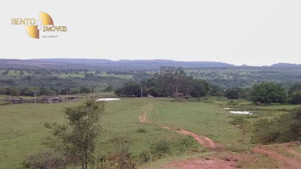 Fazenda à venda de 800 ha em Poxoréu, MT, Brasil