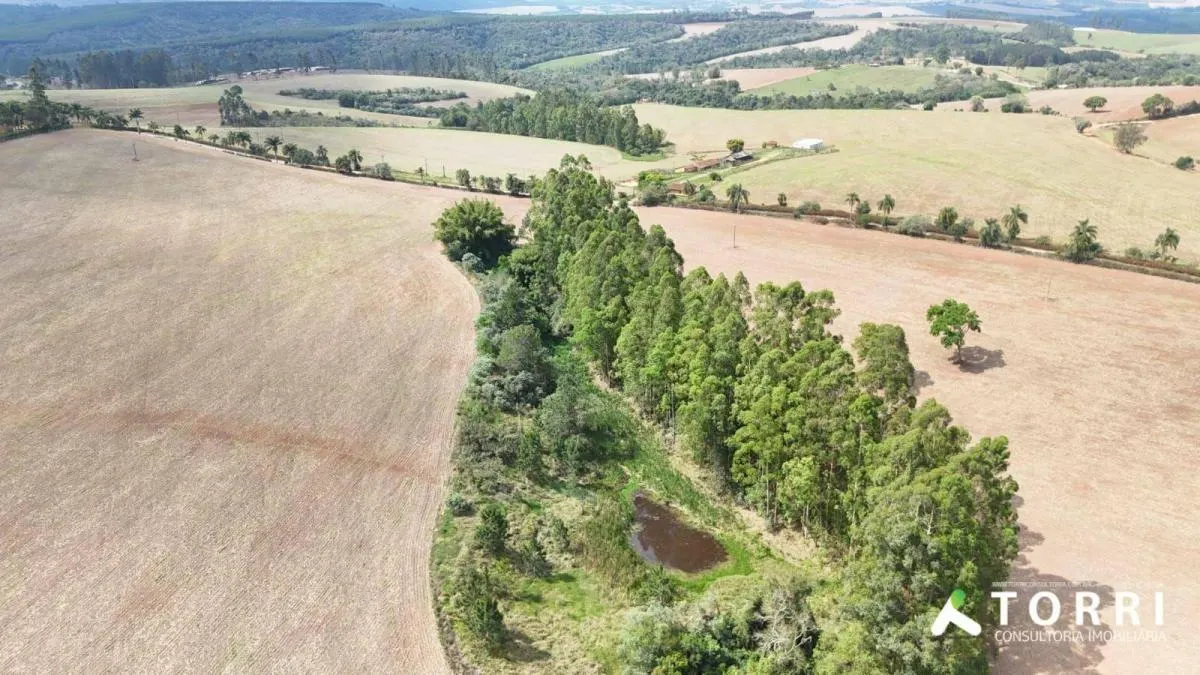 Fazenda à venda de 329 ha em Capão Bonito, SP, Brasil