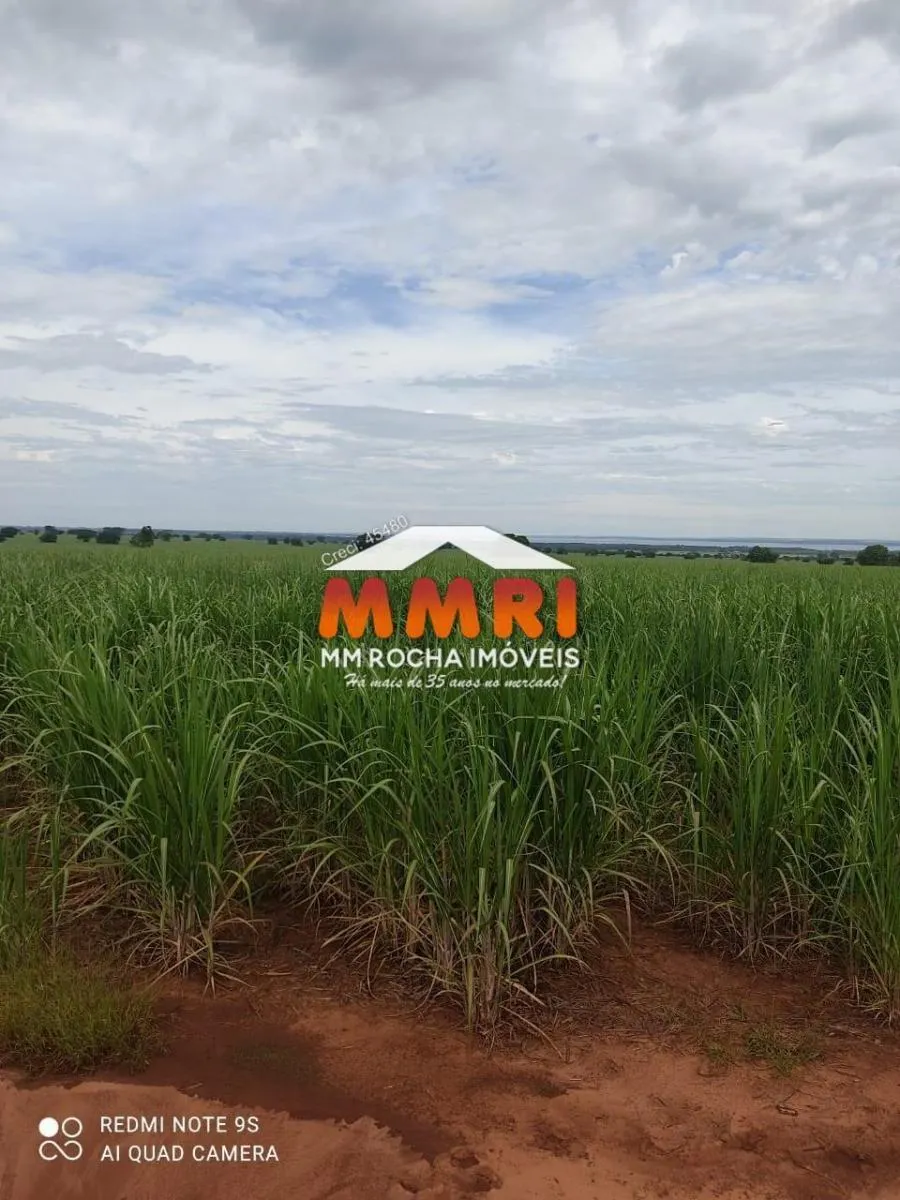 Fazenda à venda de 474 ha em Suzano, SP, Brasil