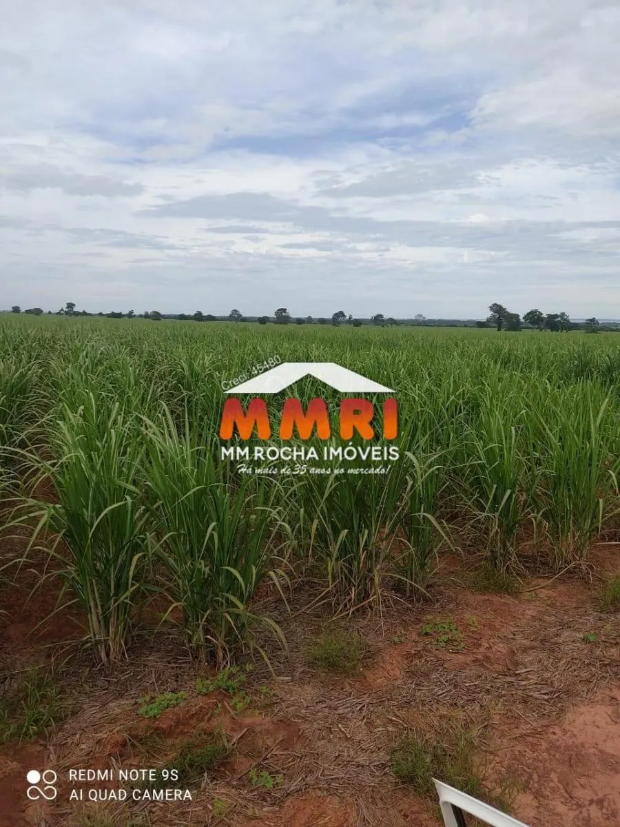 Fazenda à venda de 474 ha em Suzano, SP, Brasil