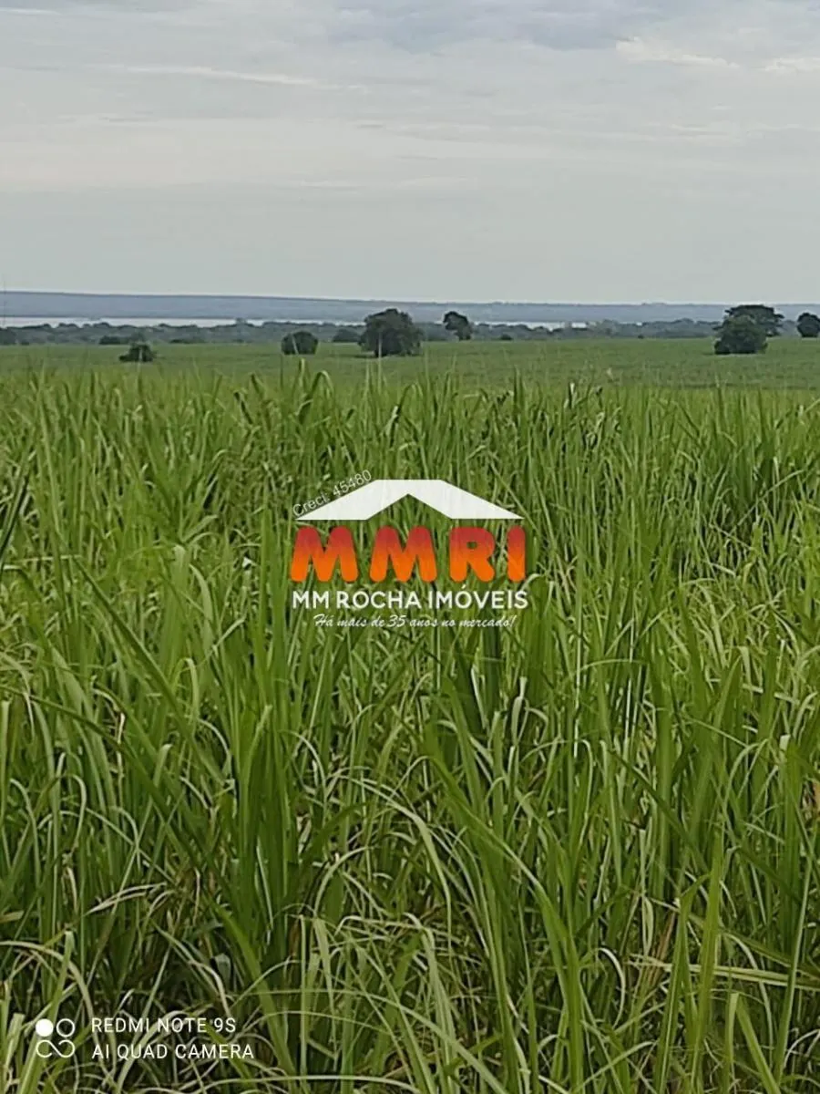 Fazenda à venda de 474 ha em Suzano, SP, Brasil