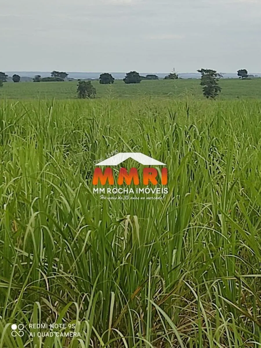 Fazenda à venda de 474 ha em Suzano, SP, Brasil